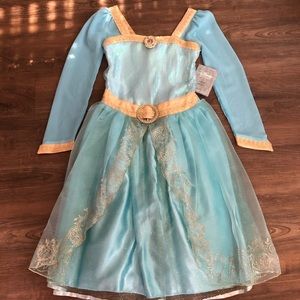 Disney Store RARE Light BlueBrave Princess Costume